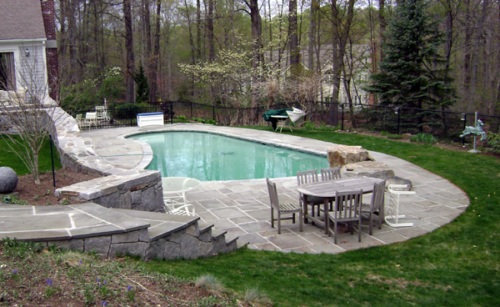 Kidney Gunite Pool