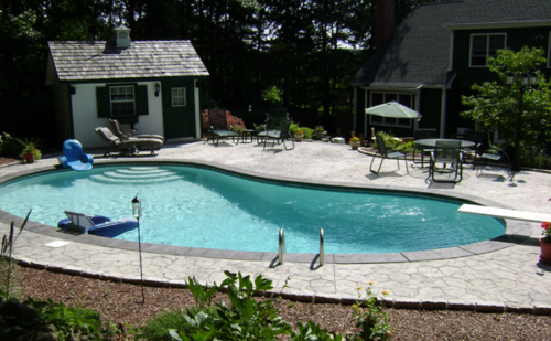 Kidney Gunite Pool