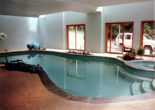 Freeform Gunite Pool